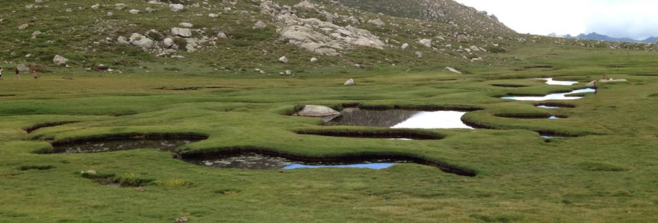 Perles d'eau